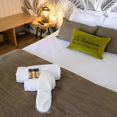 Le Chai Du Bassin Yourhosthelper Tatil Evi